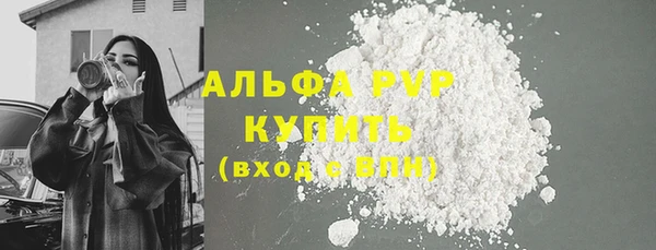 стаф Беломорск