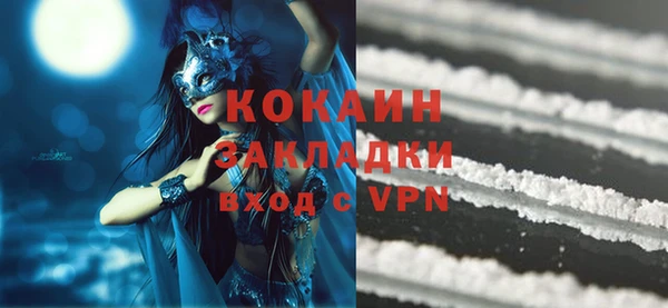 молекула духа Пестово