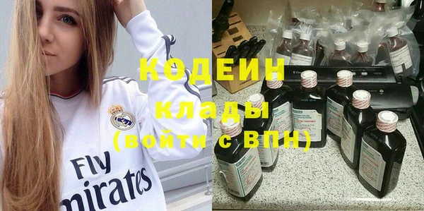 молекула духа Пестово
