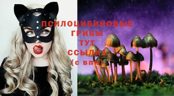 герыч Пересвет